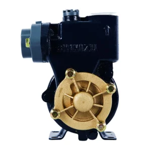 shimizu pompa air sumur dangkal non otomatis ps 116 bit garansi resmi original