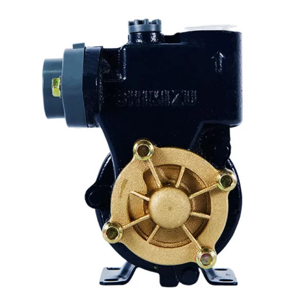 shimizu pompa air sumur dangkal non otomatis ps 116 bit garansi resmi original